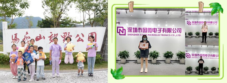 國微|微電子|芯片