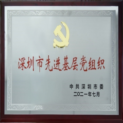 百年華誕，喜獲殊榮——國(guó)微電子黨總支榮獲“深圳市先進(jìn)基層黨組織”稱號(hào)