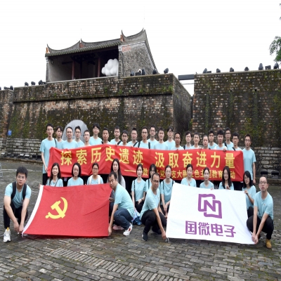 探索歷史遺跡，汲取奮進力量——國微電子黨總支大鵬紅色主題教育活動